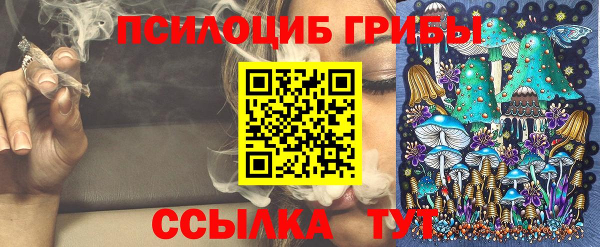 Галлюциногенные грибы GOLDEN TEACHER  Псилоцибиновые грибы Cubensis  Абакан  Вход с VPN 