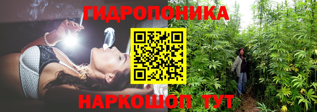 Марихуана планчик Абакан